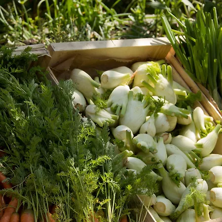 La Ferme D'augustin Hotel 4*