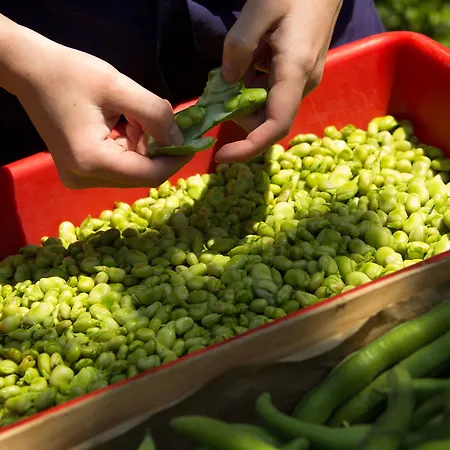 La Ferme D'augustin Hotel