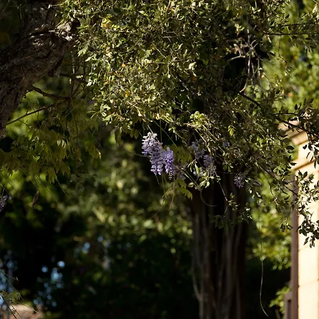 La Ferme D'augustin 4* Ramatuelle